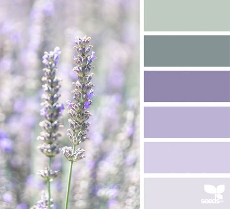 Nature Tones Lavender And Sage Palette, Color Pallets With Lavender, Lilac And Green Bathroom, Lavender Sage Bedroom, Sage Green And Lavender Bathroom, Lavender And Sage Living Room, Sage And Purple Bathroom, Lavender Sage Color Palette, Sage And Lavender Bathroom