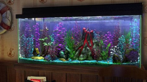 Finding Nemo Finding Nemo Aquarium, Finding Nemo Fish Tank, Nemo Fish, Fish Tank Themes, Finding Nemo 2003, Amazing Aquariums, Cool Fish Tanks, Fish Tank Design, Cool Fish