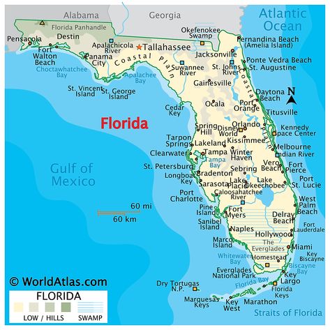 Florida Maps & Facts - World Atlas Florida Map Printable, Honeymoon Tattoo, Florida State Map, Florida Attractions, Florida Map, Florida Adventures, Usa Florida, Everglades Florida, Daytona Beach Florida