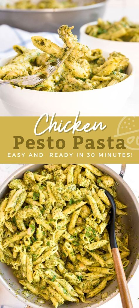 Chicken And Penne Pasta, Basil Pesto Chicken Pasta, Creamy Chicken Pesto Pasta, Pesto Pasta Recipes Chicken, Basil Pesto Chicken, Creamy Pesto Chicken Pasta, Chicken Pesto Pasta, Healthy Pesto, Basil Pesto Sauce