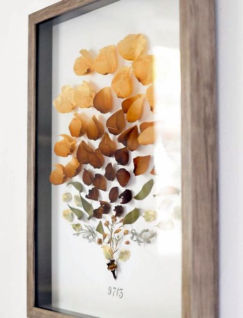 Unique-Ways-To-Reuse-Dried-Flowers Keeping Dried Flowers Ideas, Dried Flowers Ideas, Bouquet Shadow Box, Cuadros Diy, Dried Flowers Diy, Flower Shadow, Pressed Flower Crafts, Bloom Design, Fleurs Diy