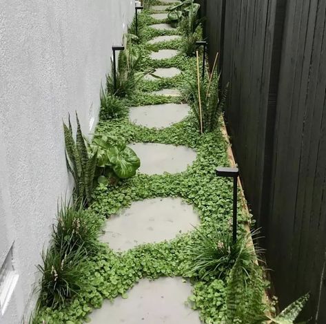 Side Path, Garden Pavers, Australian Native Garden, Native Garden, Home Landscaping, Garden Pathway, Garden Landscape Design, Deck Garden, Side Yard