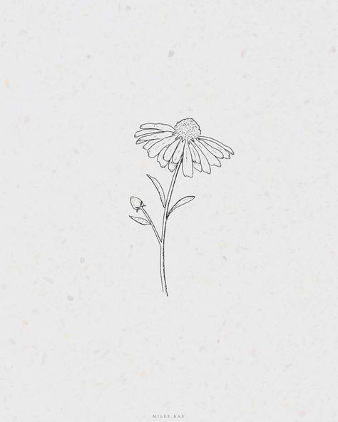 Simple Flower Sketch, Daisy Flower Drawing, Daisy Drawing, Flower Sketch, Minimal Drawings, Ankle Tattoo Small, Flower Line Drawings, Daisy Tattoo, Drawing Tattoo