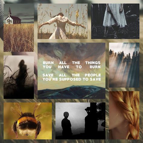 Erin A Craig, Small Favors Aesthetic, Small Favors Book Fanart, Small Favors Book Aesthetic, Small Favors Book, Fictional Aesthetic, Fan Favors, Bookshelf Inspiration, Southern Gothic