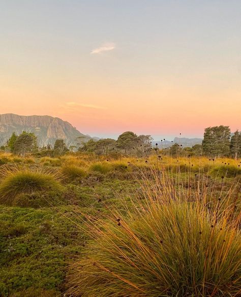 For six days last autumn, a ragtag band of walkers tackled the famed Overland Track and explored central Tasmania’s spectacular flora.⁠ ⁠ The track is Australia’s premier alpine walk and spans 65 kilometres from Cradle Mountain to Australia’s deepest lake, Lake St Clair.⁠ ⁠ Discover the wonders of the Overland Track — link in bio.⁠ ⁠ 📷 @honey.ginis⁠ 📍@tasmania Australia Mountains, Autumn In Australia, Aus Travel, Australia Autumn, Cradle Mountain Tasmania, Central Australia, Beautiful Australia, Cradle Mountain, Australian Summer