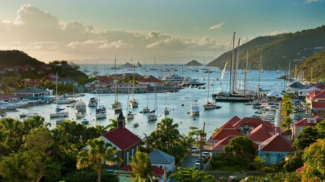 Eden Roc, Nikki Beach, Cruise Excursions, St Barths, Harbour Island, Caribbean Vacations, Dream Beach, Anna Kendrick, Saint Barth