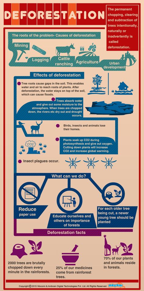 The permanent chopping, clearing and subtraction of trees intentionally, naturally or inadvertently is called deforestation. Deforestation Poster Ideas, Deforestation Project, Deforestation Infographic, Deforestation Drawing, Deforestation Facts, What Is Deforestation, Deforestation Poster, Environmental Science Activities, Teaching Sound