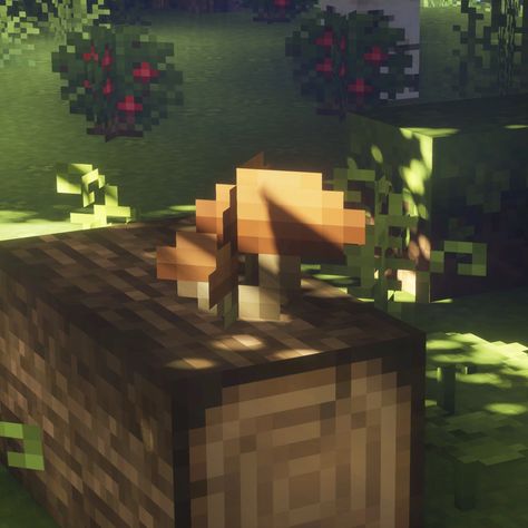 Mushroom Minecraft Skin, Minecraft Icons Aesthetic, Aesthetic Mushrooms, Minecraft P, Aesthetic Mushroom, Minecraft Aesthetic, Watch Wallpapers, Minecraft Pictures, Minecraft Wallpaper