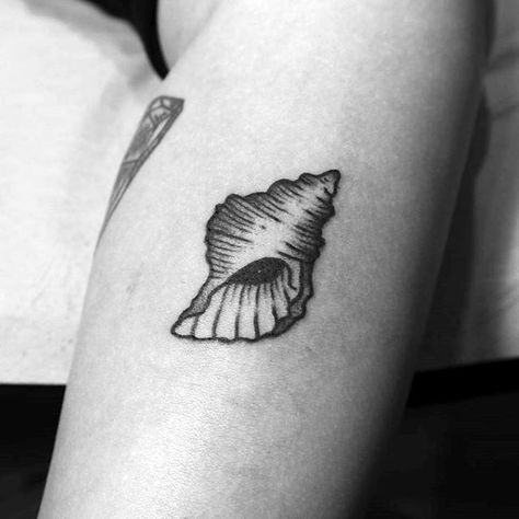 Sea Shells Tattoo Ideas, Small Seashell Tattoo, Conch Tattoo, Seashell Tattoo, Shell Tattoo, Seashell Tattoos, Shell Tattoos, Tattoos Inspiration, Botanical Tattoo