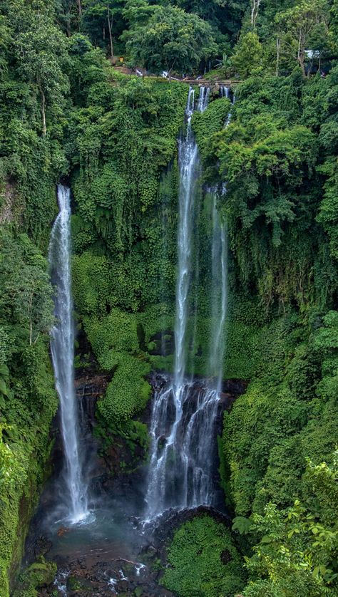 Sekumpul Waterfall also known locally as Air Terjun Sekumpul, is arguably Bali’s most spectacular cascades with a collection of 7 tall, misty waterfalls in one area.  The seven waterfalls each has its own beauty, form, and height that look extraordinary and makes these waterfalls as the most gorgeous waterfall in Bali island. #sekumpulwaterfall #sekumpulbali #sekumpulwaterfallbali #waterfallsekumpul #baliwaterfall Waterfall Jumping, Waterfall Bali, Bali Waterfalls, Bali Island, Air Terjun, Se Asia, Beautiful Spaces, Bali Travel, Destin Beach