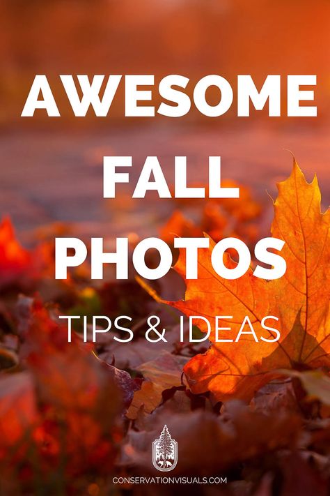 How To Make Beautiful Photos, Camera Settings For Fall Pictures, Fall Camera Settings, Landscape Photo Ideas, Autumn Photography Nature Landscapes, Unique Pictures Creative Photography, Camera Filter Settings, Fall Outdoor Pictures, Autumn Pictures Photography