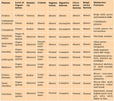 Easy Animal Kingdom Classification Chart👇 https://biologymam.com/animal-kingdom-classification-chart/#Animal_Kingdom_Classification_Chart Animal Classification Chart, Animal Kingdom Classification, Kingdom Classification, Neet Biology, Animal Classification, Study Flashcards, Earth Photos, Easy Animals, Kingdom Animalia