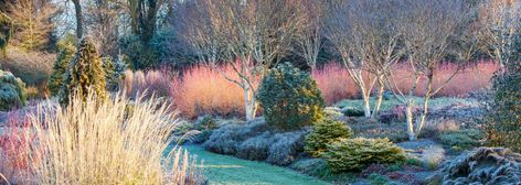 The Bressingham Gardens - Bressingham, Norfolk Bressingham Gardens, Winter Border, Winning Photography, Estate Garden, Hidden Garden, English Cottage Garden, Garden Design Plans, Plant Photography, Garden Tours