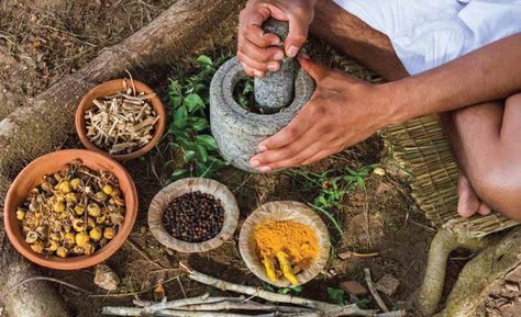 Roots of Sri Lankan Traditional Medicine Ayurvedic Hair Care, Ayurvedic Doctor, Kidney Stone, Ayurvedic Hair, Ayurvedic Remedies, Ayurvedic Herbs, Ayurvedic Medicine, Traditional Medicine, Ayurveda