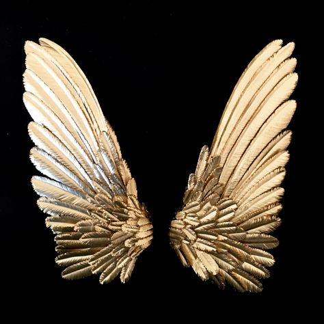 Gold Bird Aesthetic, White And Gold Aesthetic Pictures, Gold Wings Angels, Wing Aesthetics, Gold Aesthetic Pictures, Wings Aesthetics, Black And Gold Artwork, Angel Wings Aesthetic, Aesthetic Wings