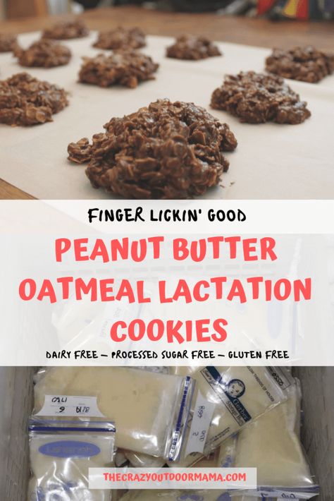 Oatmeal Lactation Cookies, Dairy Free Lactation Cookies, Lactation Cookie Recipe, Healthy Lactation Cookies, Lactation Cookie, Lactation Cookies Recipe, Breastfeeding Snacks, Bake Easy, Low Milk Supply