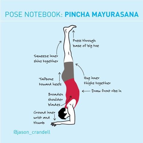 Mckenzie Exercises, Hip Anatomy, Pincha Mayurasana, Gentle Yoga Flow, Yoga Inversions, Different Types Of Yoga, Yoga Program, Gentle Yoga, Bikram Yoga