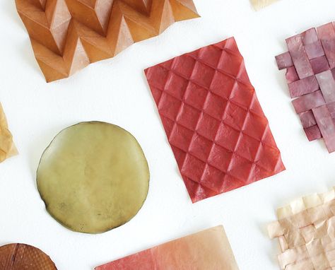 PROJECTENpagina | Lionne van Deursen Auxetic Pattern, Colour Experiments, Bio Materials, Explore World, Material Research, Bio Art, Material Science, Material Palette, Food Industry