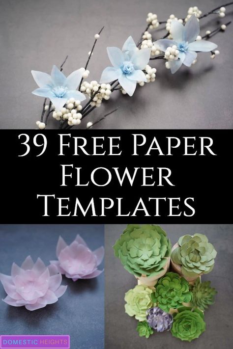 Free Paper Flower Templates, Paper Flower Templates, Paper Flower Centerpieces, Paper Flower Patterns, Paper Sunflowers, Easy Paper Flowers, Paper Flower Decor, Paper Flower Crafts, Paper Flower Template