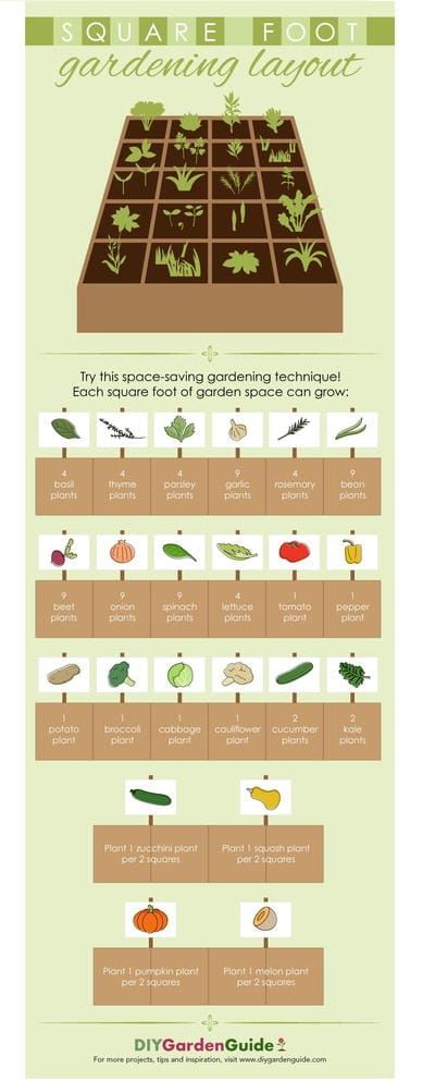 Raised Bed Garden Layout, Veggie Garden Layout, Square Foot Gardening Layout, Above Ground Garden, Gardening Layout, Plants For Raised Beds, Garden Bed Layout, Vegetable Beds Raised, Garden Boxes Raised