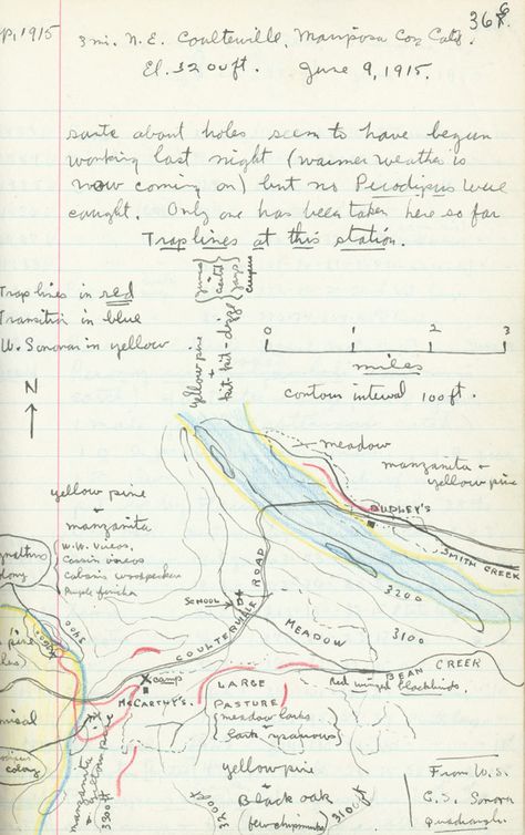 Grinnell Survey, 1915. In the early 1900's Joseph Grinnell, the first director of the University of California, Berkeley's Museum of Vertebrate Zoology, organized a monumental effort to document California's plants and animals in their natural state. Field Journal Aesthetic, Diagram Notes, Field Notes Journal, Field Journal, Scientific Journal, Science Research, Commonplace Book, Science Notes, Science Journal