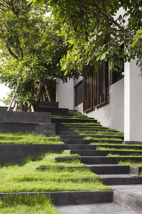 Onyx | Bangkok Thailand | Shma #landscapearchitecture #green #roof #roofgarden #rooftop #skyline #view #bangkok #grass #trees Landscape Stairs, Landscape Steps, Garden Stairs, Desain Lanskap, Outdoor Stairs, Garden Steps, Concrete Steps, Landscape Architecture Design, Have Inspiration