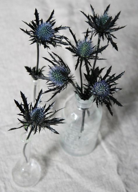 Black bouquets for Halloween (DIY instructions and vases via Gardenista) Classy Halloween Party, Thistle Bouquet, Halloween Floral Arrangements, Decoration Vitrine, Classy Halloween, Halloween Floral, Sea Holly, Halloween Flowers, Halloween Centerpiece