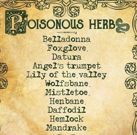 Poisonous Herbs, Celtic Witch, Magickal Herbs, Witch Herbs, Wiccan Magic, Witch Spirituality, Magic Spell Book, Magic Herbs, Magical Herbs