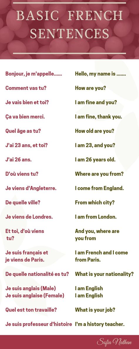 #frenchlanguage #ais #learnfrench #french #fran #france #speakfrench #frenchwords #frenchvocabulary #learningfrench #ilovefrench #apprendrelefran #fle #aise #studyfrench #frenchlesson #frenchclass #languagelearning #francais #learnfrenchonline #frenchteacher #frenchlearning #franc #parlerfran #language #s #languefran #francophile #frenchgrammar #delf French Conversation Phrases, French Basic Sentences, French Common Phrases, French Common Words, French Beginner Vocabulary, Basic French Words For Beginners, Learning French Beginner Notes, Easy French Words, French Basics Language