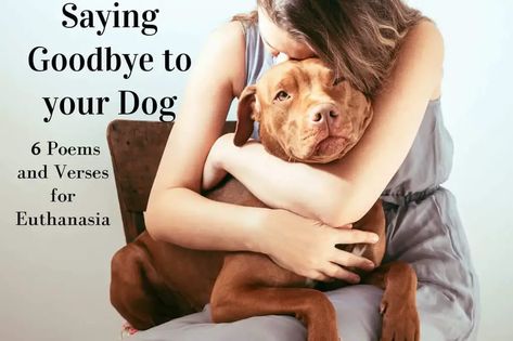 Saying Goodbye to your Dog 6 Poems and Verses for Euthanasia Goodbye Poem, Pet Poems, Pet Sitting Business, Miss My Dog, Goodbye Quotes, Dog Poems, Short Dog, Dog Died, Short Poems