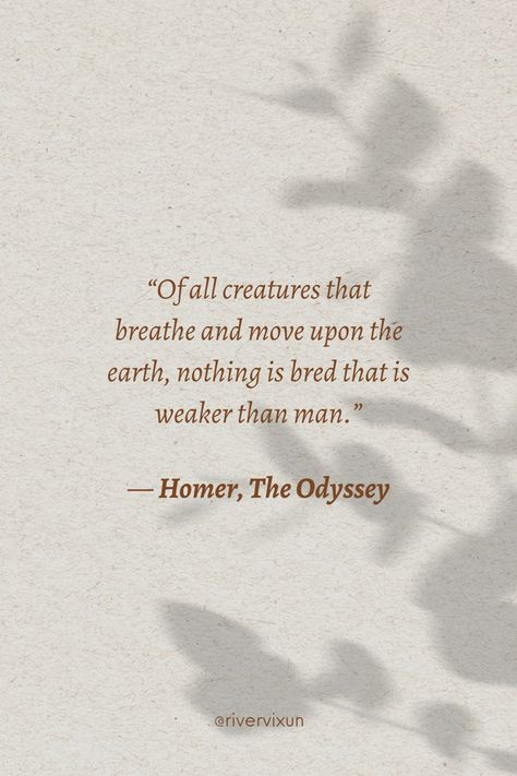 The Odyssey book quotes This Savage Song Aesthetic, Savage Book Quotes, This Savage Song, Savage Poetry, Odyssey Homer, Homer Quotes, English Literature Quotes, Classic Literature Quotes, Fancy Quotes