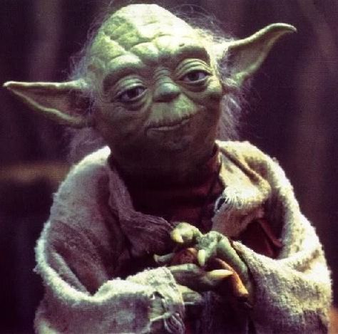 “Much to learn you still have…my old padawan.” … “This is just the beginning!”  - Yoda Cartoon Star Wars, Star Wars Meme, Bloc Party, Favorite Movie Quotes, Ju Jitsu, Star Wars Yoda, Harrison Ford, Star Wars Memes, Gym Humor