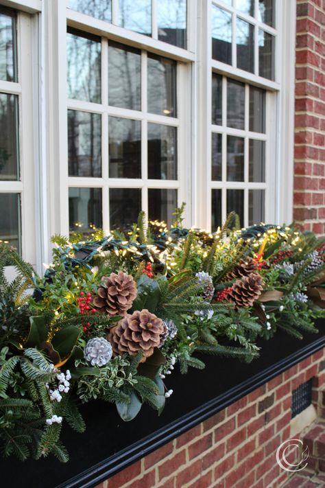 Christmas Outdoor Flower Boxes, Winter Garden Box Ideas, Christmas Windowbox Ideas, Outside Christmas Window Decorations, Flower Box Christmas Decor, Winter Window Boxes Ideas, Outdoor Christmas Window Boxes, Winter Flower Boxes Front Porches, Fall Winter Window Boxes