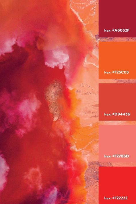 Rich reds color palette from a textured image. Red, peach and orange Red Color Pallets, Peach Color Palettes, Orange Color Palette, Wedding Color Pallet, Orange Color Palettes, Red Colour Palette, Red Orange Color, Red Peach, Color Stories