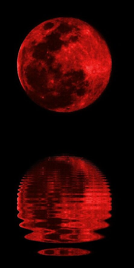 Blood moon over water Strawberry Moon Wallpaper, Blood Moon Aesthetic, Red Moon Painting, Blood Moon Tattoo, Red Moon Aesthetic, Blood Moon Wallpaper, Red Moon Wallpaper, Vampire Moon, Blood And Water