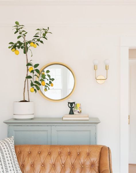 How-To: Clean Your Favorite Brass Pieces Schoolhouse Style, Modern Planter, Modern Planters, Outdoor Sconces, The Embrace, New Traditional, A Living Room, Home Decor Tips, Decoration Design