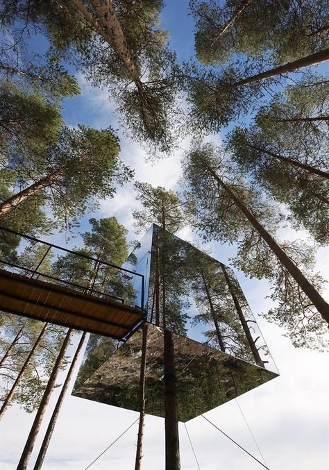 Treehouse Hotel, Hotel Inspiration, Tree House Designs, Hotel Architecture, Organic Architecture, Tall Trees, Interior Design Magazine, Design Hotel, Lombok