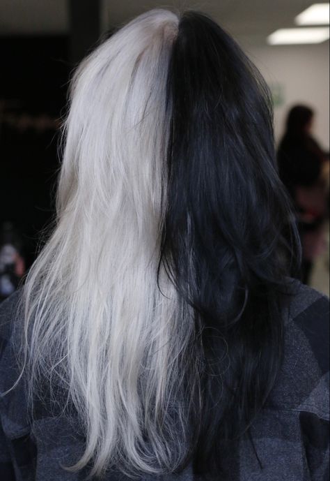 Split Dye White And Black, Black And White Split Dye Hair, Half Black Half Grey Hair, Black White Split Hair, Half Gray Half Black Hair, Half White And Black Hair, Half Black Half Silver Hair, Split Hair Dye Black And White, Half White Half Brown Hair