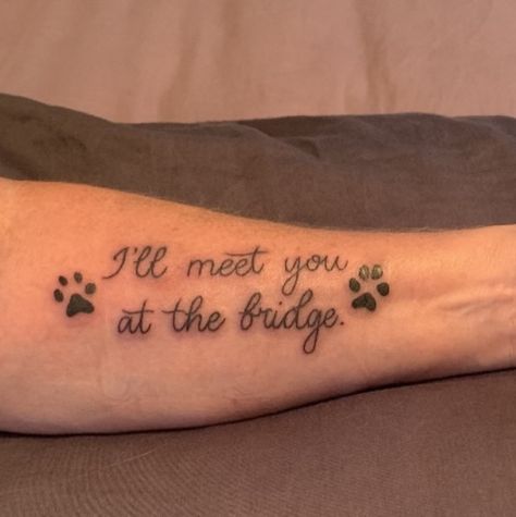 Dog In Heaven Tattoo Ideas, Rest In Peace Dog Tattoo, Until We Meet Again Dog Tattoo, Dog Tattoo Quotes, Losing A Dog Tattoo, Dog Loss Tatoos, Dog Rememberence Tattoo, Tattoos For Pets That Have Passed, All Dogs Go To Heaven Tattoo