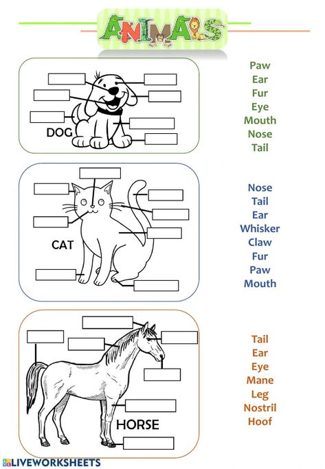 Ingles Kids, Animal Body Parts, Kindergarten Prep, English Activities For Kids, Animal Worksheets, Kids English, 1st Grade Worksheets, English Lessons For Kids, English Activities