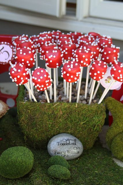 Toadstool fairy wands (marshmallow pops with red candy coating and white sugar pearls) Woodland Fairy Birthday Party, Woodland Fairy Birthday, Enchanted Forest Birthday, Woodland Fairy Party, Forest Birthday Party, Enchanted Forest Party, Fairy Baby Showers, Red Mushrooms, Fairy Garden Birthday Party