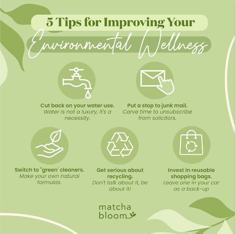 Wellness is not only something applicable to you as an individual, but how you react with the environment around you.⁠ ⁠ Head to our blog for 5 Tips for Improving your Environmental Wellness. Environmental Wellness, Wellness Ideas, Community Involvement, Balanced Life, Environmental Health, Overall Health, Physical Wellness, Small Changes, Healthy Environment