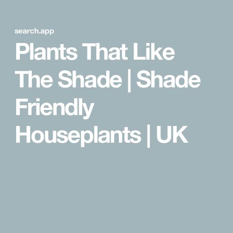 Plants That Like The Shade | Shade Friendly Houseplants | UK Best Plants, The Shade, Cool Plants, House Plants, The 10, Shades, Plants