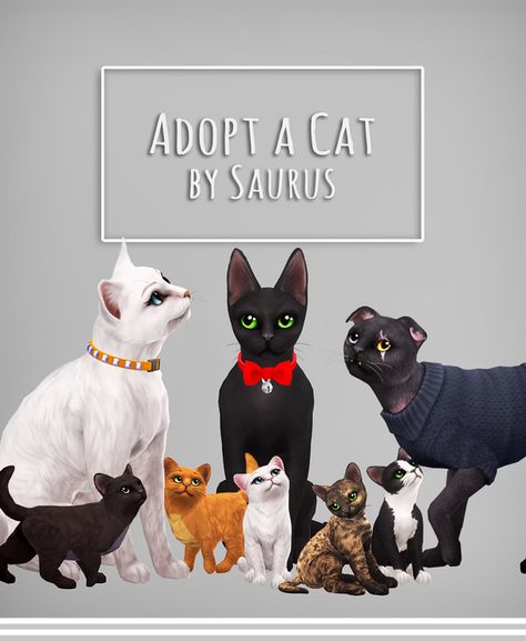 Sims 4 Pets Mod, Sims 4 Cc Patreon, Mods Sims 4, Sims Pets, Sims 4 Game Mods, Tumblr Sims 4, Sims 4 Characters, Sims 4 Build, Sims 4 Game