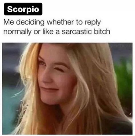 RELATABLE SCORPIO MEMES on Instagram: “Thoughts? 😏 Also, if you are not following me yet and you like my posts please consider it, because I’ll be closer to my goal! Your…” Love Memes For Him, Memes For Him, Scorpio Zodiac Facts, Movies Quotes, Sarcasm Only, Funny Dog Memes, Memes Hilarious, Girl Facts, Memes Sarcastic