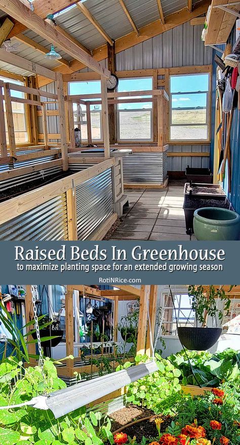 Greenhouse Veggie Garden, How To Set Up A Greenhouse, Greenhouse Set Up Inside, Raised Bed Greenhouse, Terraced Vegetable Garden, Greenhouse Planting, Farm Light, Vegetable Garden Beds, Indoor Planting