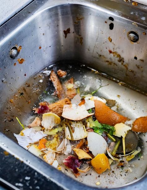 If you have no garbage disposal, how do you handle food scraps? Compost Container, Eco Friendly Kitchen, Food Scraps, Kitchen Waste, Garbage Disposal, Fermenting, Egg Shells, Fresh Produce, Food Waste