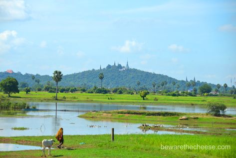 Travel Landscape Photography, Agriculture Future, Landscape Reference Photos, Vietnam Landscape, Rural Photography, Best Landscape Photography, Landscape Reference, Abstract Art Images, Watercolor Art Landscape