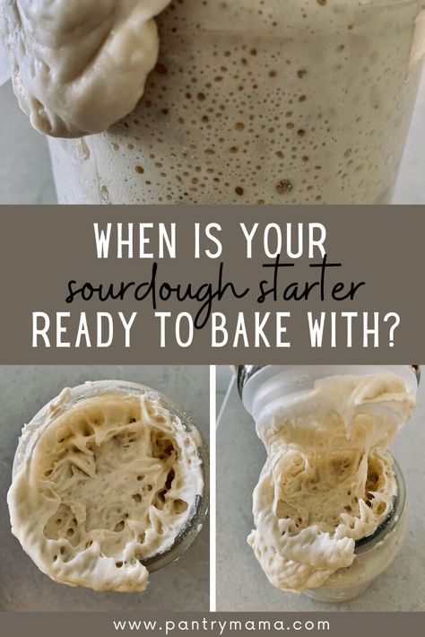 When is your sourdough starter ready to bake with - here are the signs to look for to know when your sourdough starter is bake ready. The Pantry Mama, Pantry Mama, Gluten Free Sourdough Starter, Recipe Using Sourdough Starter, Sourdough Bread Starter, Dough Starter, Sourdough Starter Discard Recipe, Gluten Free Sourdough, Homemade Sourdough Bread