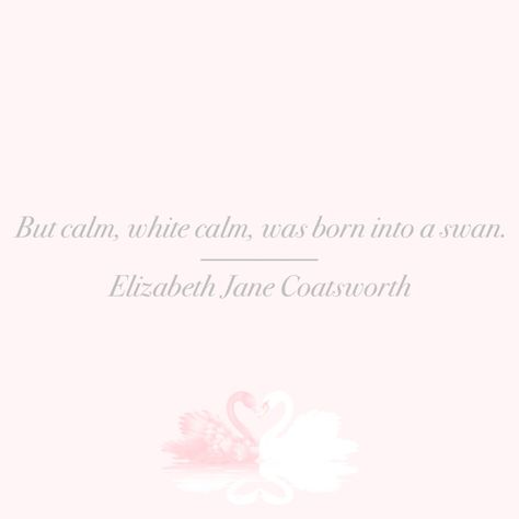 swan | grace | beauty | quote White Swan Mindset, Angelic Affirmations, Coquette Quotes, Widgets Pink, Swan Quotes, Vision Collage, White Coquette, Beauty Quote, Aesthetic Tips